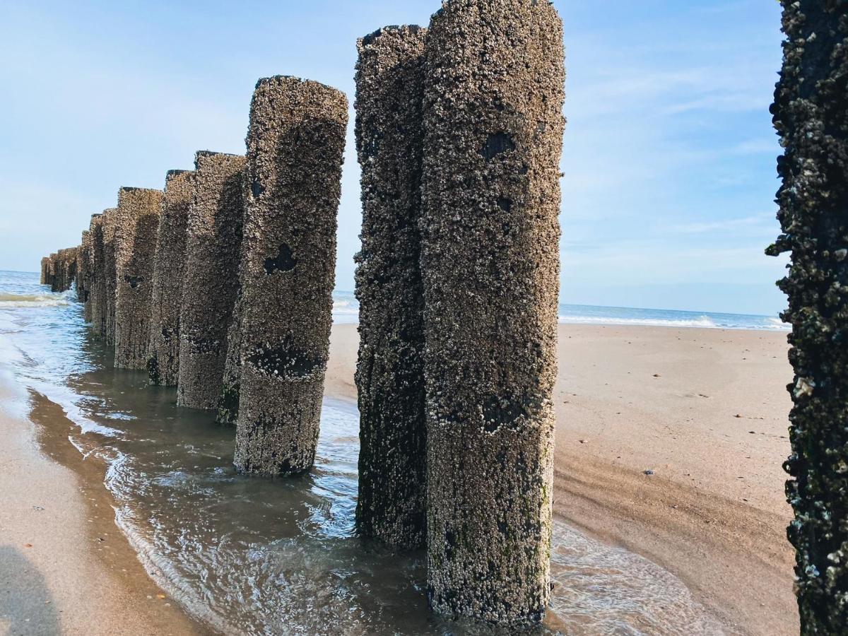 Vakantiehuis Domburg Do33 Екстер'єр фото